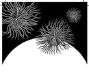A Planet of Viruses