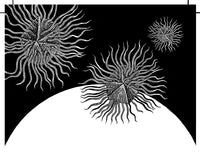 A Planet of Viruses