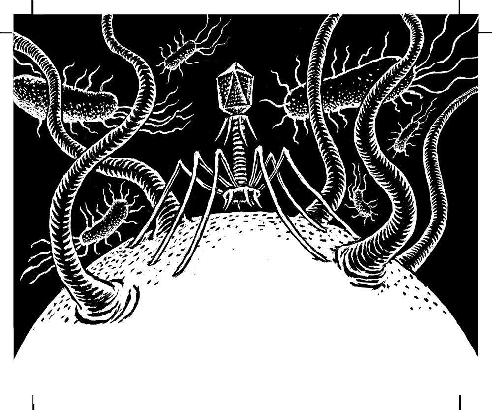 A Planet of Viruses