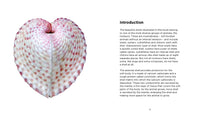Fascinating Shells