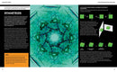 Particle Physics Brick by Brick