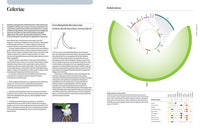 The Art and Science of Foodpairing