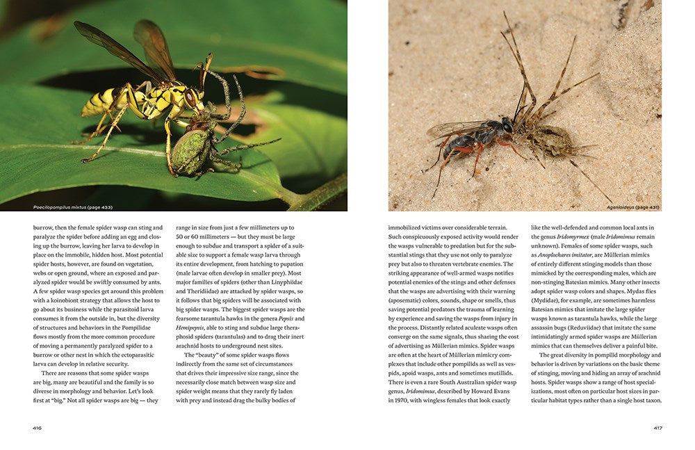 Hymenoptera