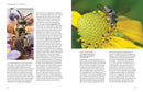 Hymenoptera