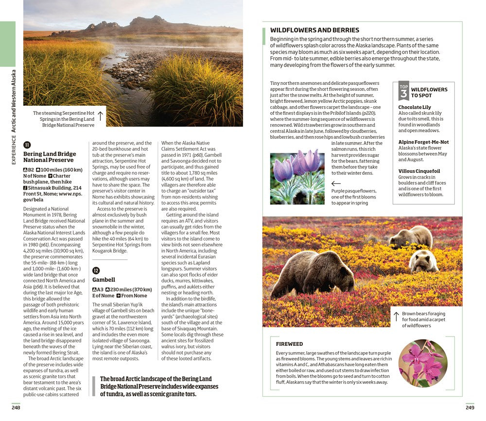 DK Eyewitness Alaska