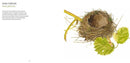 Nests