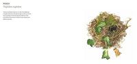 Nests