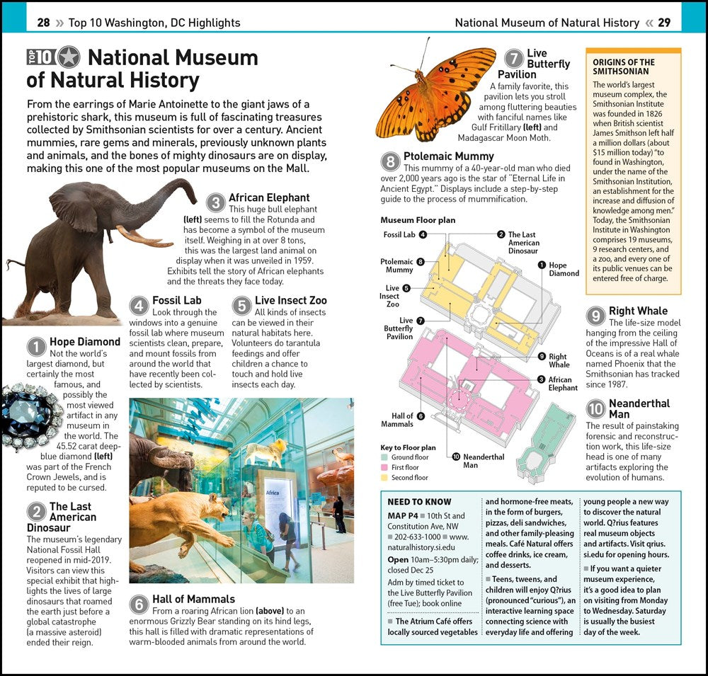 Eyewitness Top 10 Washington DC