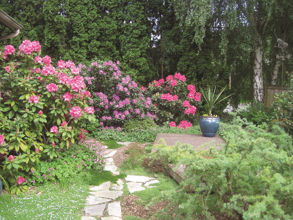 Gardening with Native Plants of the Pacific Northwest