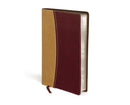 Amplified Holy Bible, Compact, Leathersoft, Tan/Burgundy