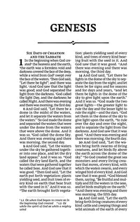 NRSV, Personal Size Large Print Bible with Apocrypha, Leathersoft, Purple, Comfort Print