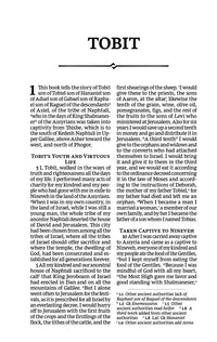 NRSV, Personal Size Large Print Bible with Apocrypha, Leathersoft, Purple, Comfort Print