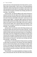 NIV, The Story, Hardcover, Comfort Print