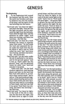 NIV, Holy Bible, Larger Print, Economy Edition, Paperback, Blue, Comfort Print