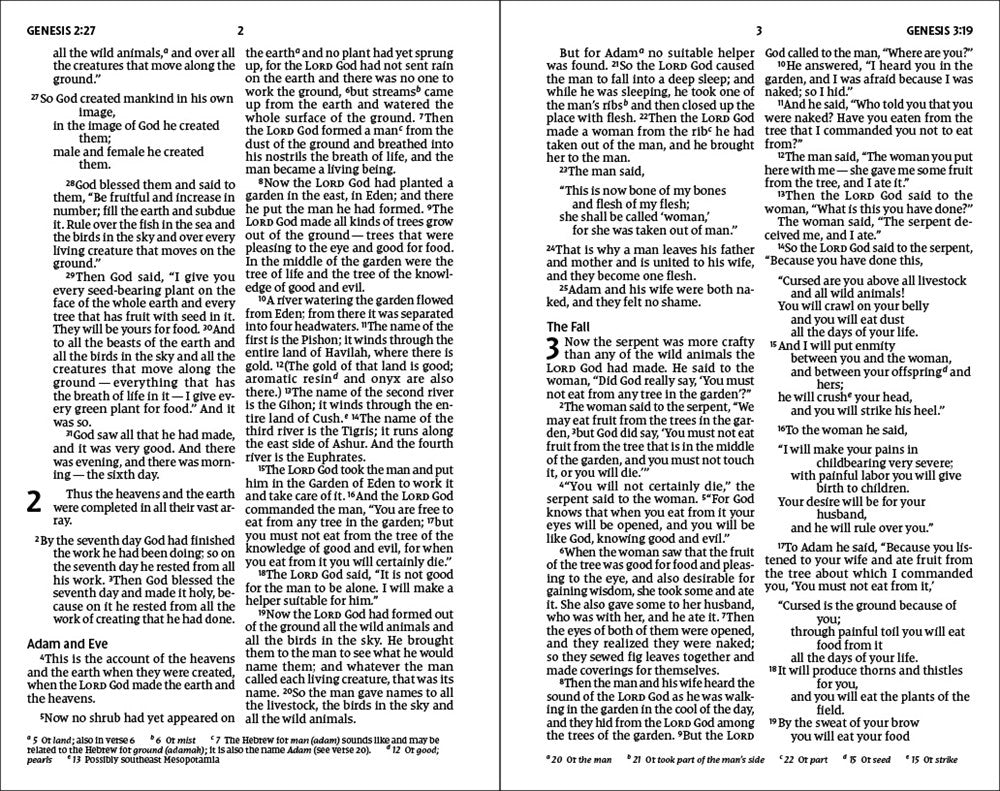 NIV, Holy Bible, Larger Print, Economy Edition, Paperback, Blue, Comfort Print