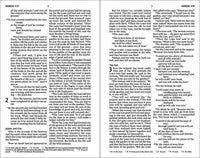 NIV, Holy Bible, Larger Print, Economy Edition, Paperback, Blue, Comfort Print