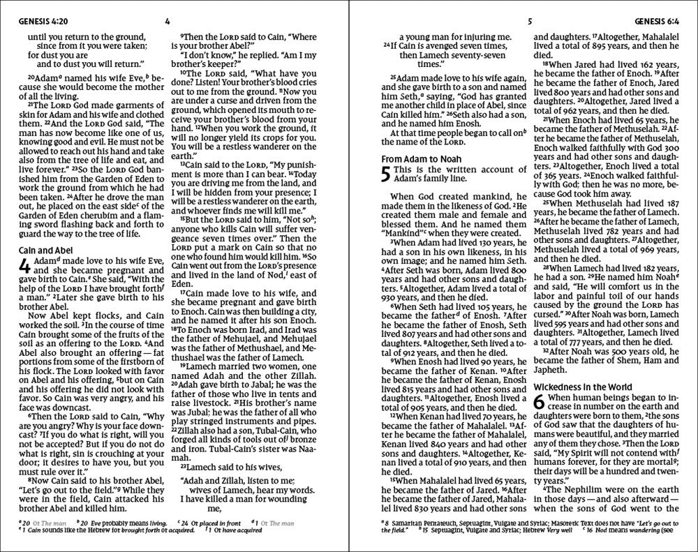 NIV, Holy Bible, Larger Print, Economy Edition, Paperback, Blue, Comfort Print