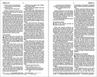 NIV, Holy Bible, Larger Print, Economy Edition, Paperback, Blue, Comfort Print