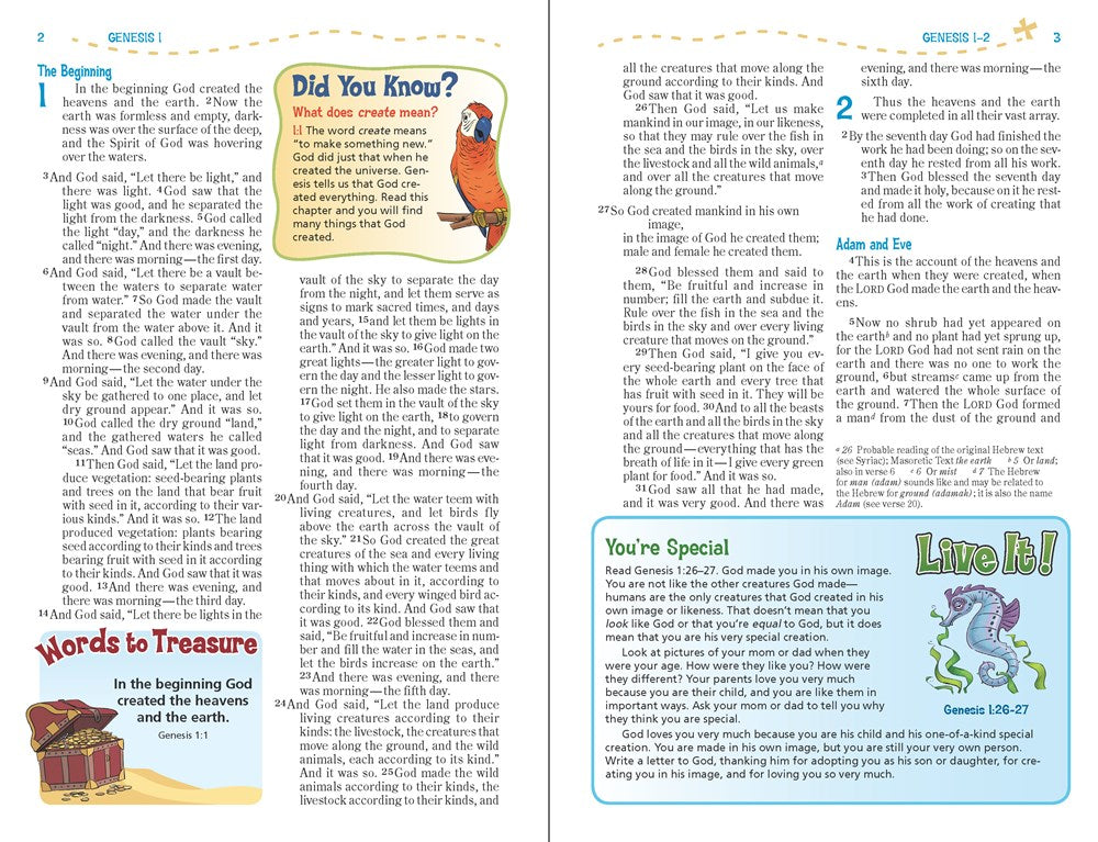 NIV, Adventure Bible, Hardcover, Full Color