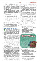 Adventure Bible for Early Readers-NIRV (Revised)