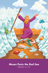 NIV, Bible for Teen Guys, Leathersoft, Charcoal, Elastic Closure