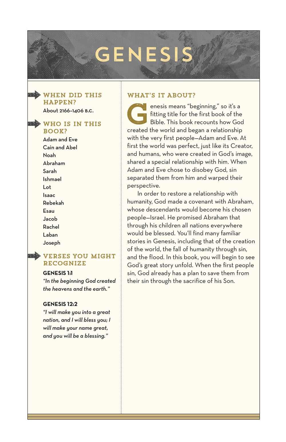 NIV, Bible for Teen Guys, Hardcover