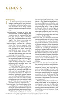 NIV, Bible for Teen Guys, Hardcover