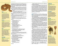 NIV, Kids' Visual Study Bible, Leathersoft, Teal, Full Color Interior