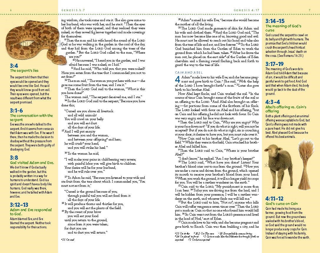 NIV, Kids' Visual Study Bible, Leathersoft, Bronze, Full Color Interior