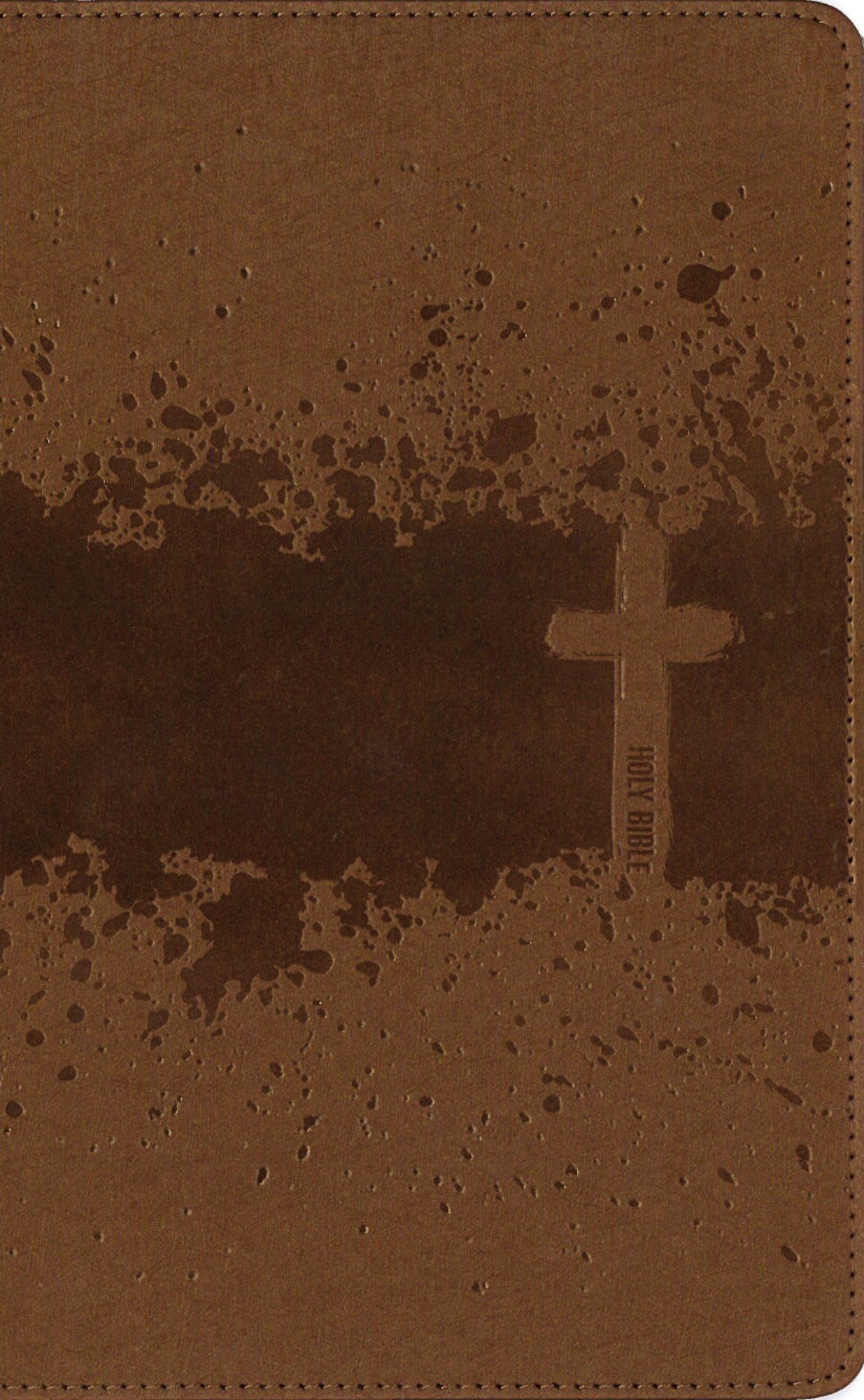 NIV, Kids' Visual Study Bible, Leathersoft, Bronze, Full Color Interior