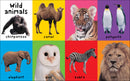 First 100 Animals: In the bestselling First 100 series