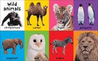 First 100 Animals: In the bestselling First 100 series