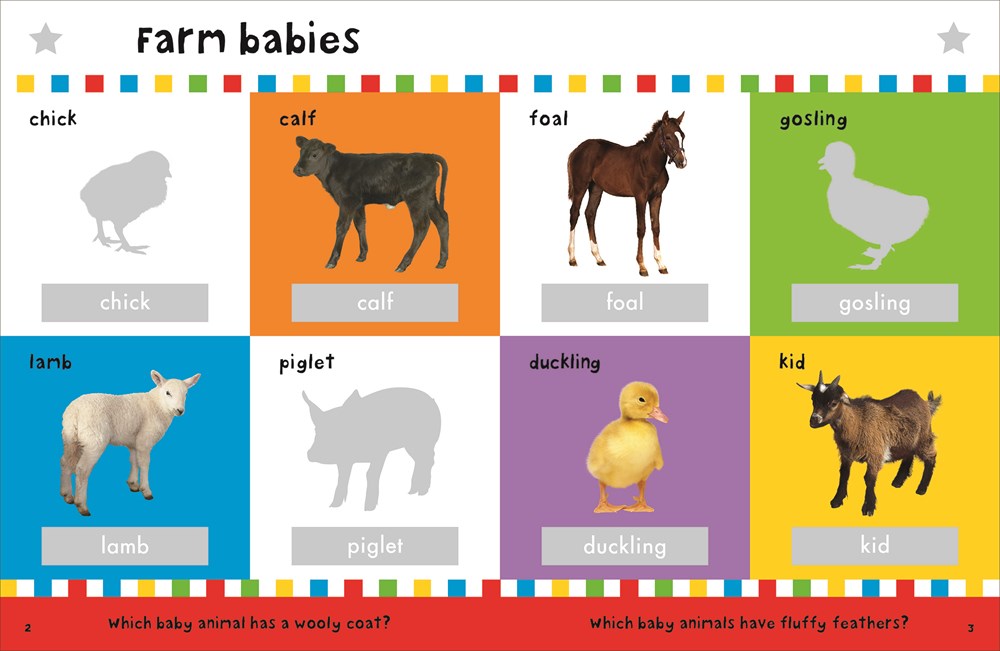 First 100 Animals Stickers Book: 500 Stickers