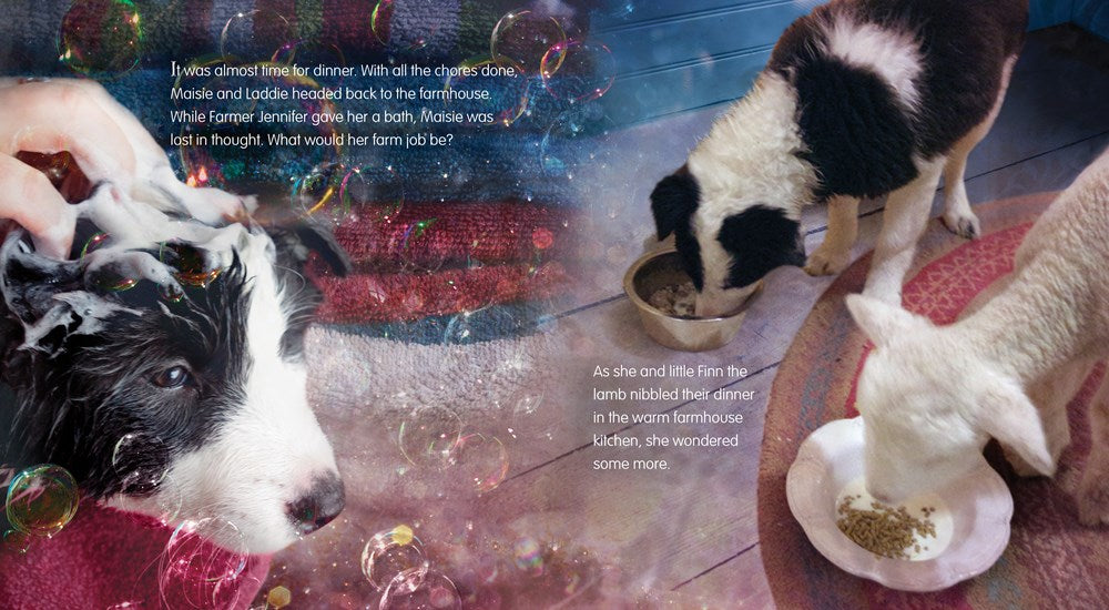 A Farm for Maisie