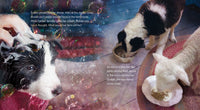 A Farm for Maisie