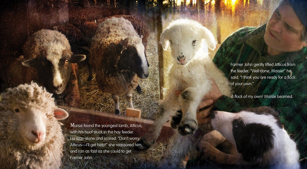 A Farm for Maisie
