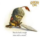Knight Owl (Caldecott Honor Book) (The Knight Owl Series, 1)