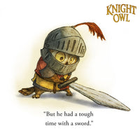 Knight Owl (Caldecott Honor Book) (The Knight Owl Series, 1)