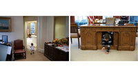 The West Wing and Beyond