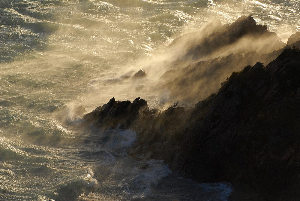 The Wager: A Tale of Shipwreck, Mutiny and Murder