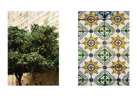 My Lisbon