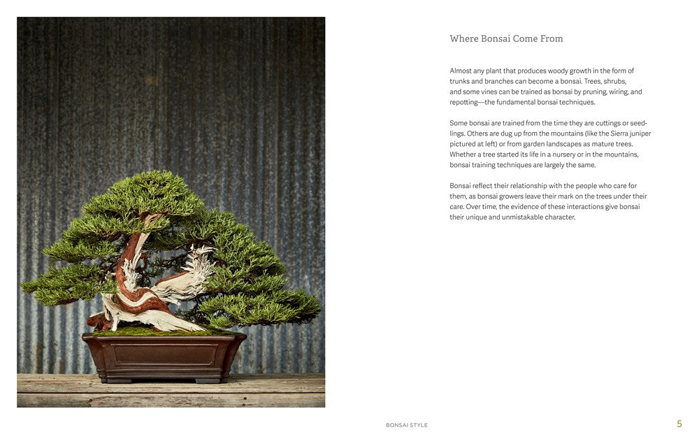 The Little Book of Bonsai: An Easy Guide to Caring for Your Bonsai Tree