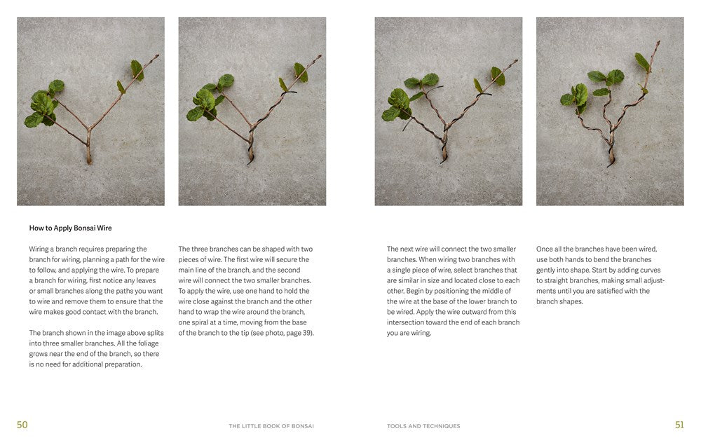 The Little Book of Bonsai: An Easy Guide to Caring for Your Bonsai Tree