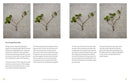 The Little Book of Bonsai: An Easy Guide to Caring for Your Bonsai Tree
