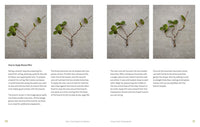 The Little Book of Bonsai: An Easy Guide to Caring for Your Bonsai Tree