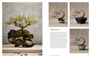 The Little Book of Bonsai: An Easy Guide to Caring for Your Bonsai Tree