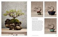The Little Book of Bonsai: An Easy Guide to Caring for Your Bonsai Tree