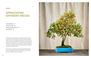 The Little Book of Bonsai: An Easy Guide to Caring for Your Bonsai Tree