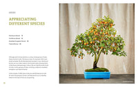 The Little Book of Bonsai: An Easy Guide to Caring for Your Bonsai Tree