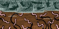 Worm Weather (Penguin Core Concepts)